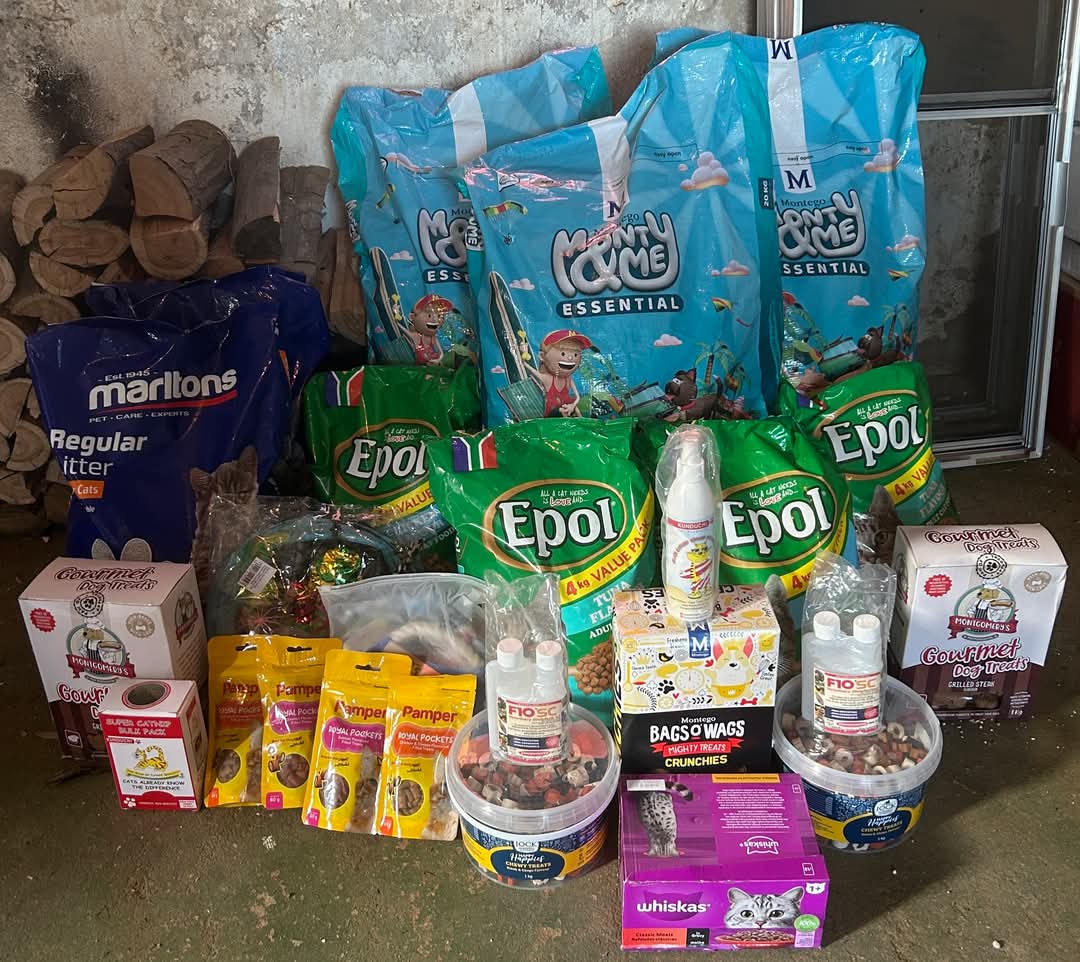 Normas Rescues 